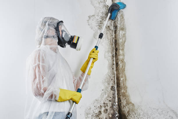 Best Water Damage Restoration  in Mexia, TX