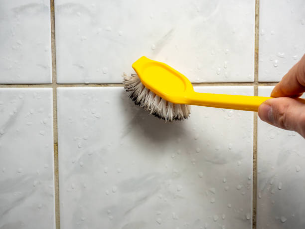 Best Affordable Mold Removal  in Mexia, TX