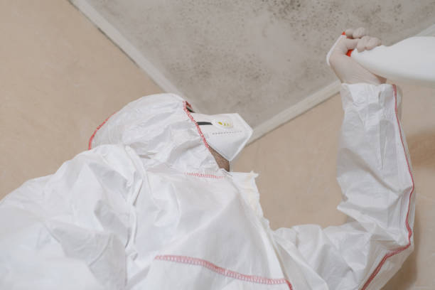 Best Certified Mold Removal  in Mexia, TX